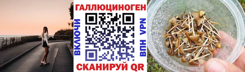 мориарти наркотические препараты  как найти наркотики  Курильск  Псилоцибиновые грибы GOLDEN TEACHER 